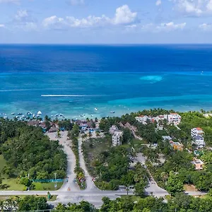 Maia Cozumel